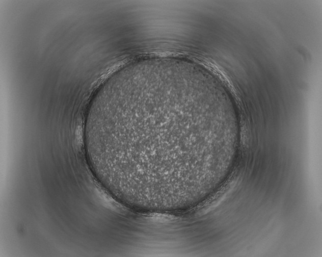 X0000112960393200909171302