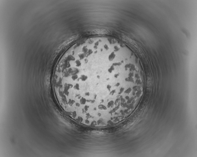 X0000112960394200909171302