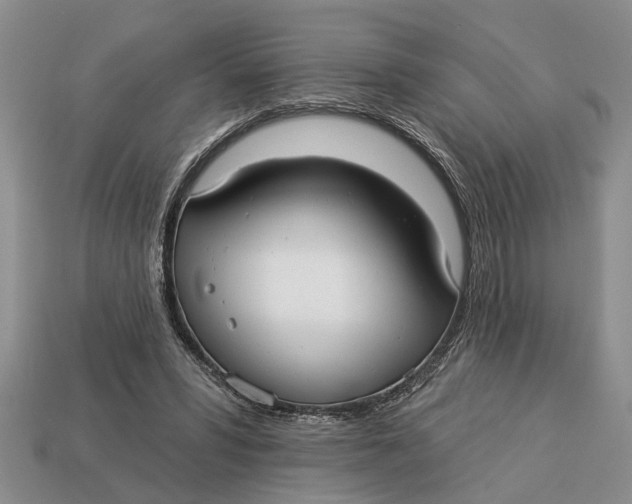 X0000112960399200909171302