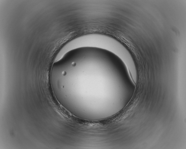 X0000112960401200909171302