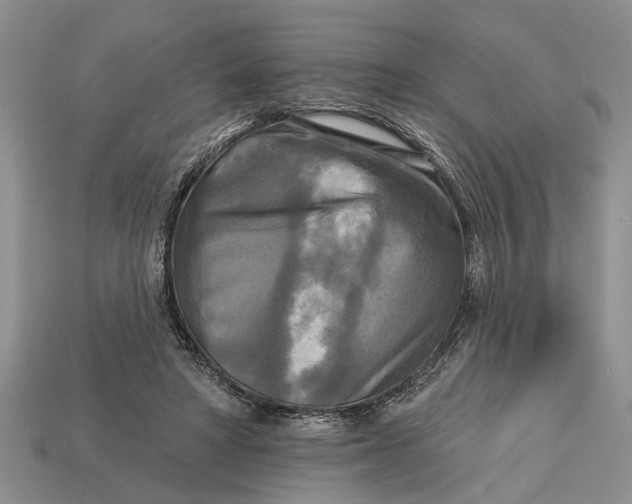 X0000112960402200909171302