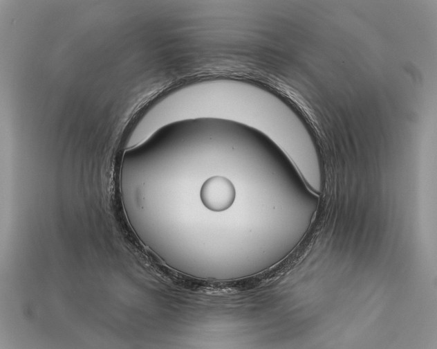 X0000112960403200909171302