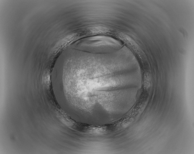 X0000112960405200909171302