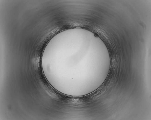 X0000112960406200909171302