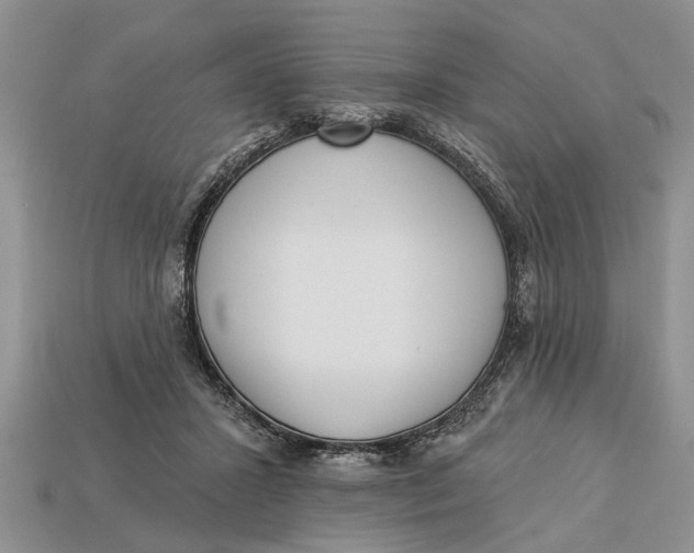 X0000112960407200909171302