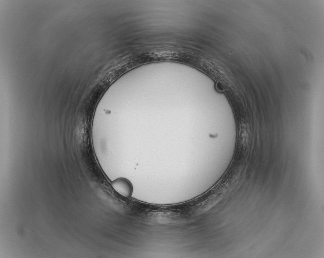 X0000112960408200909171302