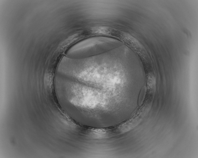 X0000112960409200909171302