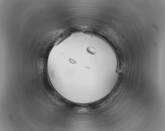 X0000112960412200909171302