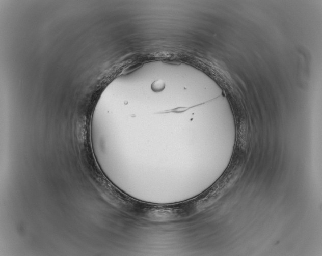 X0000112960413200909171302