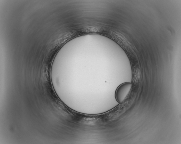 X0000112960414200909171301