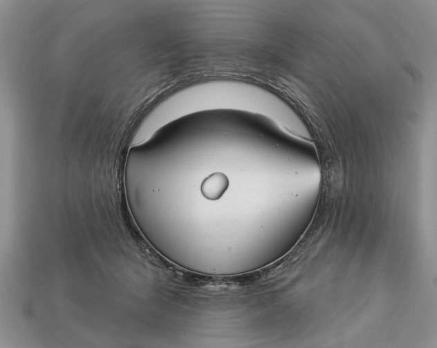 X0000112960415200909171301