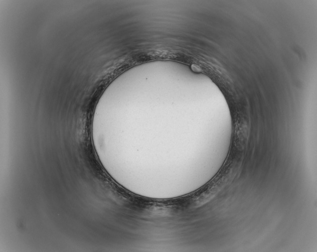 X0000112960416200909171301