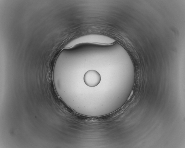 X0000112960419200909171301