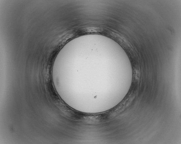 X0000112960422200909171301