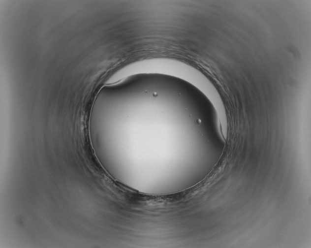 X0000112960423200909171301