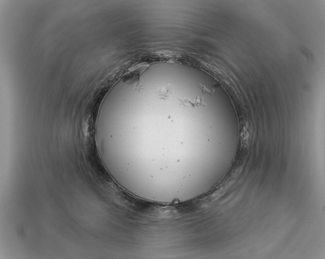 X0000112960424200909171301