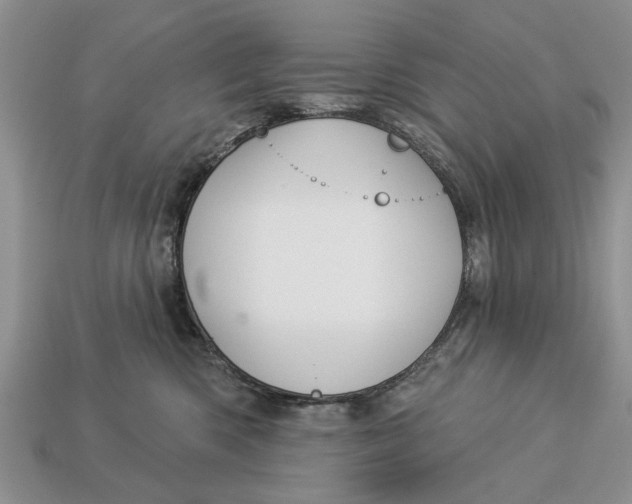 X0000112960426200909171301