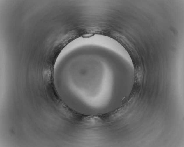 X0000112960427200909171301