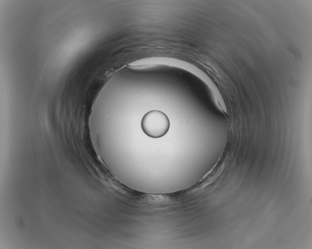 X0000112960429200909171301