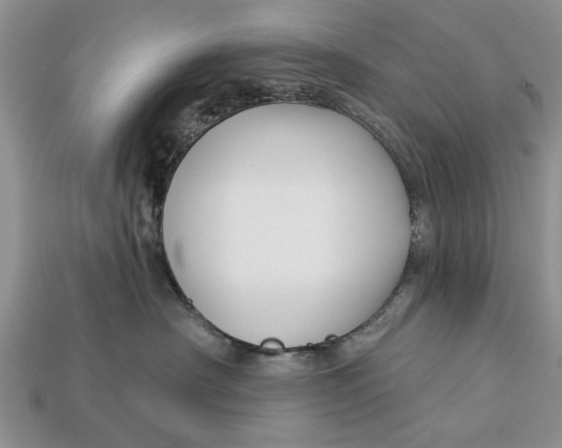 X0000112960430200909171301