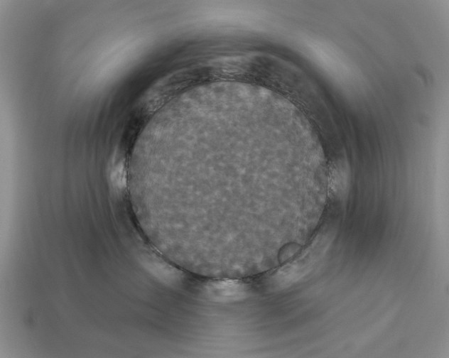 X0000112960431200909171301