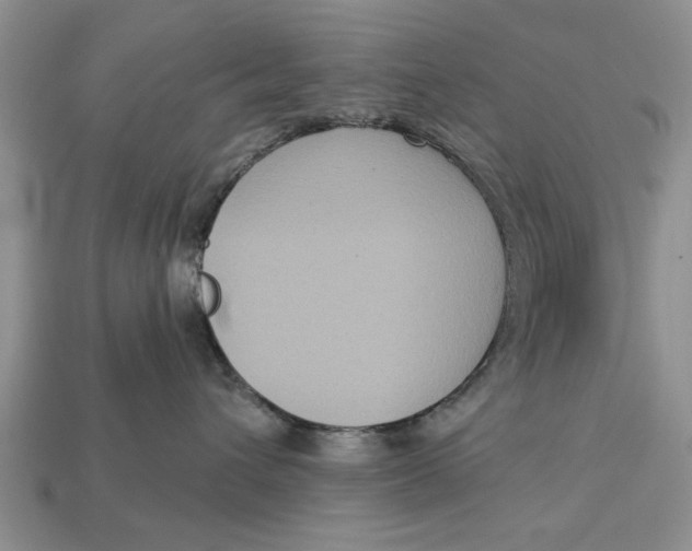 X0000112960432200909171301