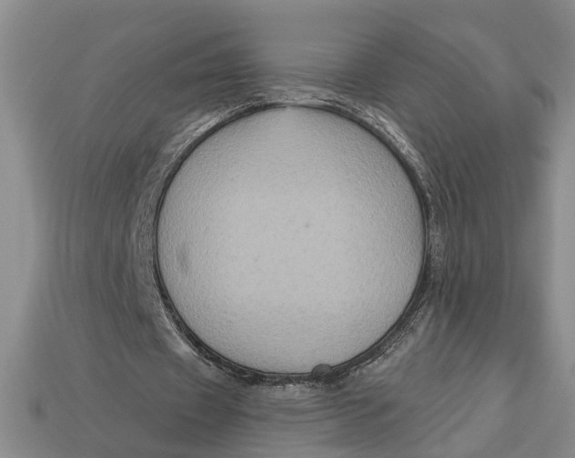 X0000112960433200909171301