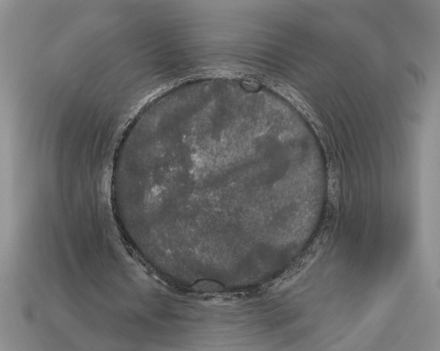 X0000112960434200909171301