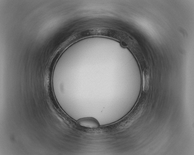 X0000112960435200909171301