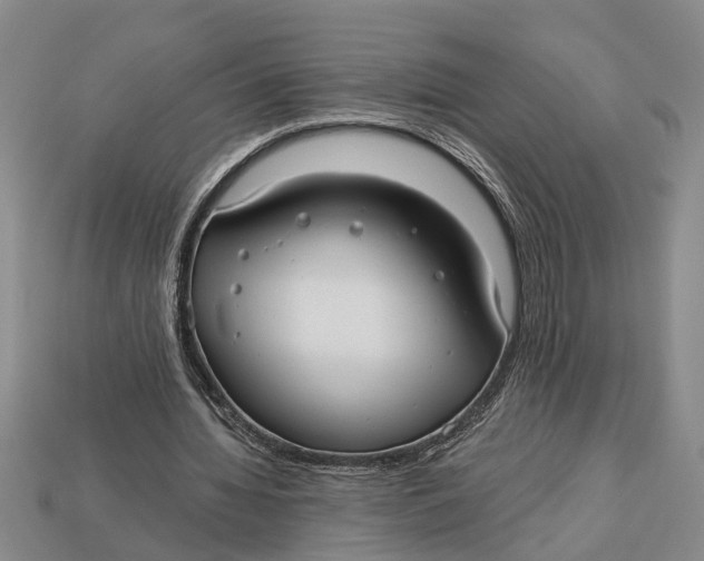 X0000112960436200909171301