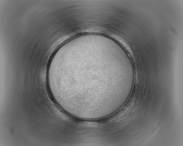 X0000112960437200909171301