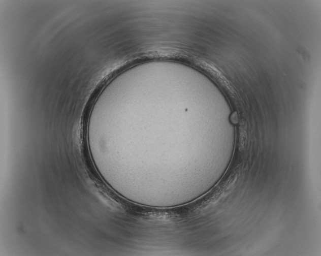 X0000112960439200909171301