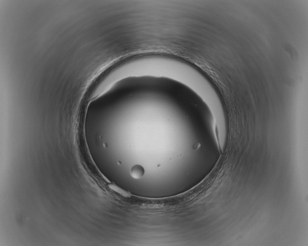 X0000112960440200909171301