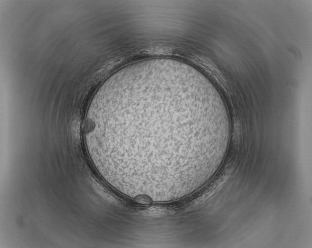 X0000112960441200909171301