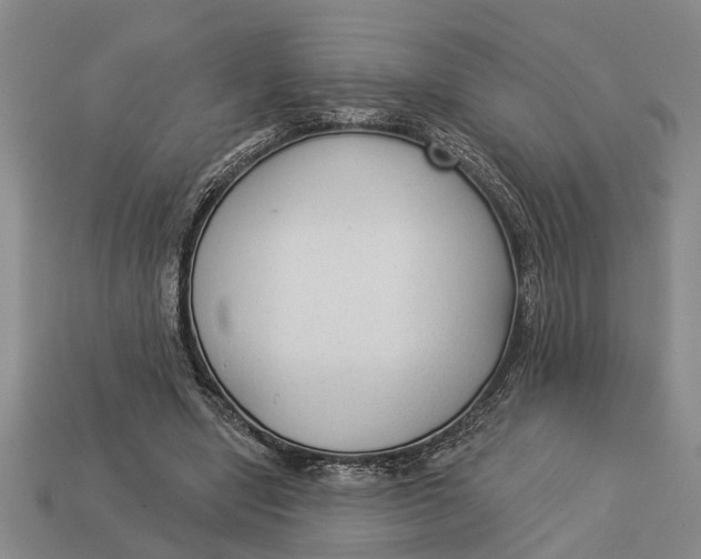 X0000112960442200909171301