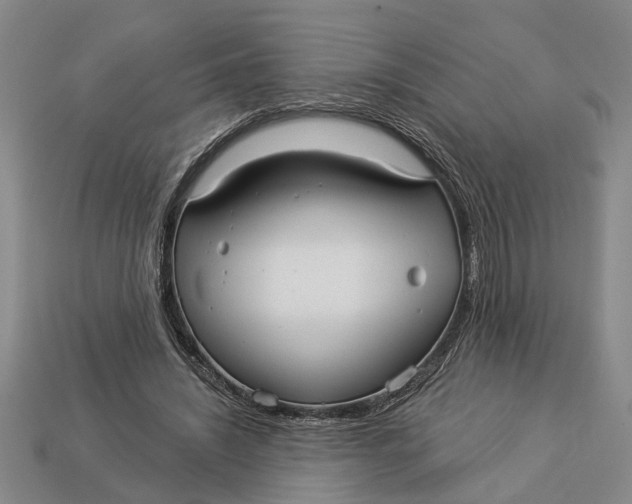 X0000112960444200909171301