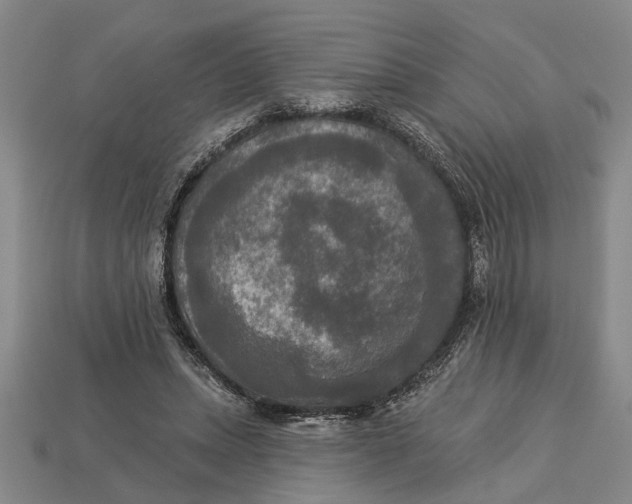 X0000112960447200909171301