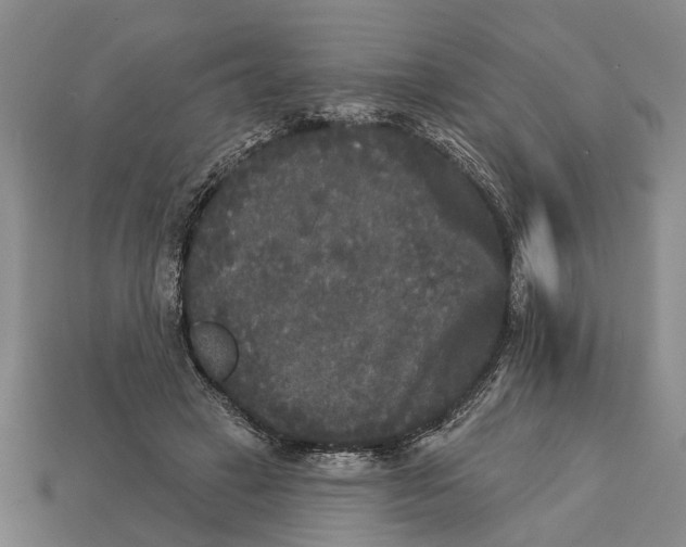 X0000112960449200909171301