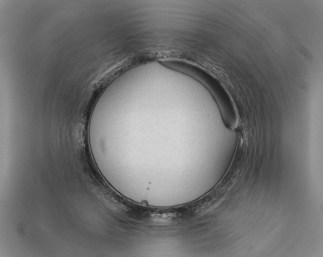 X0000112960450200909171301