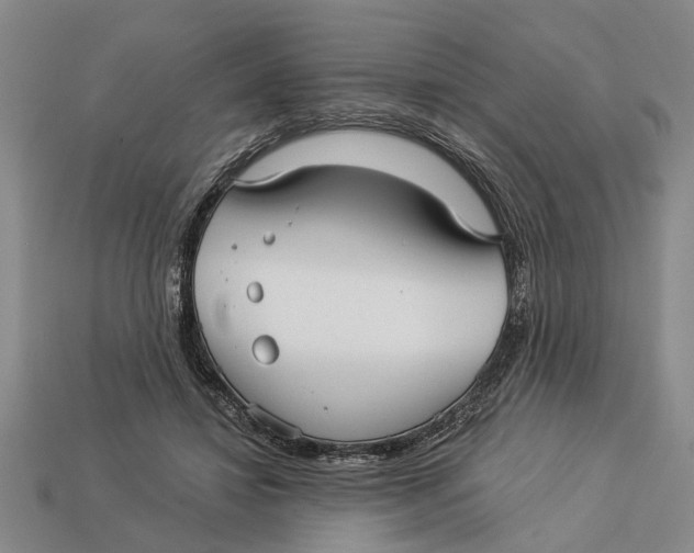 X0000112960452200909171301