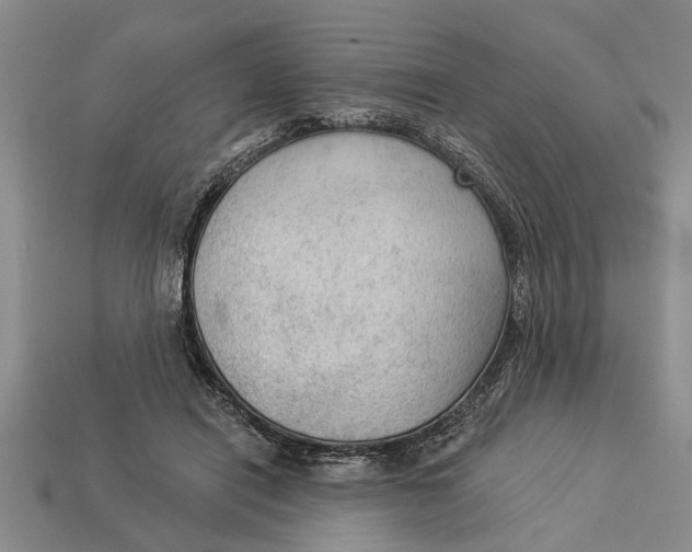 X0000112960454200909171301