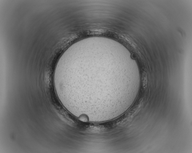 X0000112960455200909171301