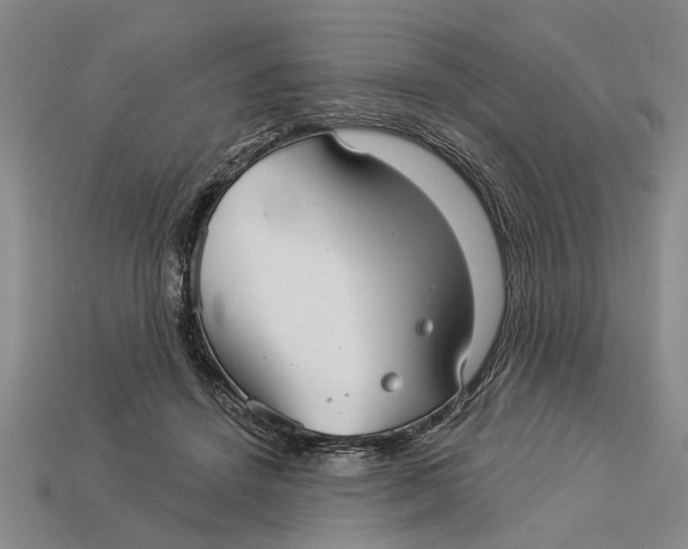 X0000112960456200909171301