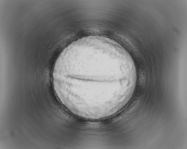 X0000112960457200909171301