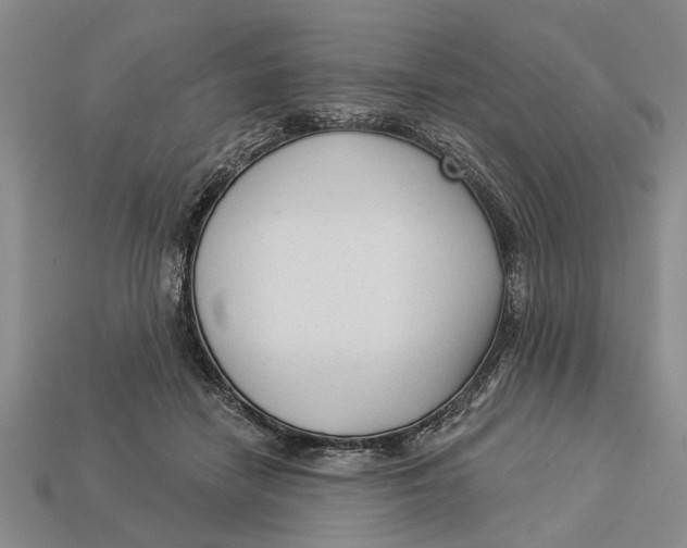 X0000112960458200909171301