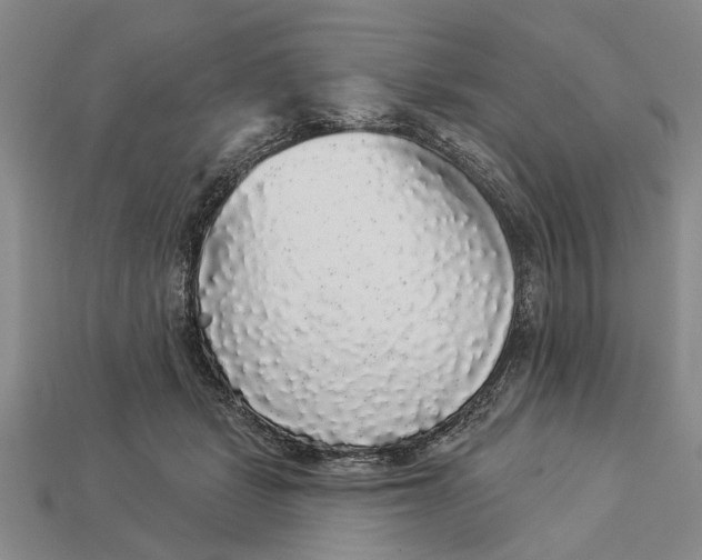 X0000112960461200909171301