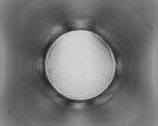 X0000112960462200909171301