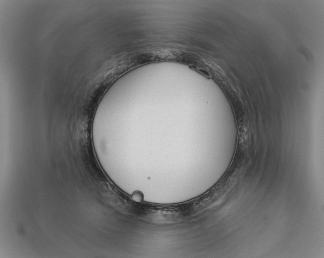 X0000112960466200909171301