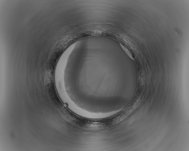 X0000112960467200909171301