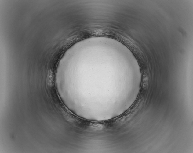 X0000112960469200909171301